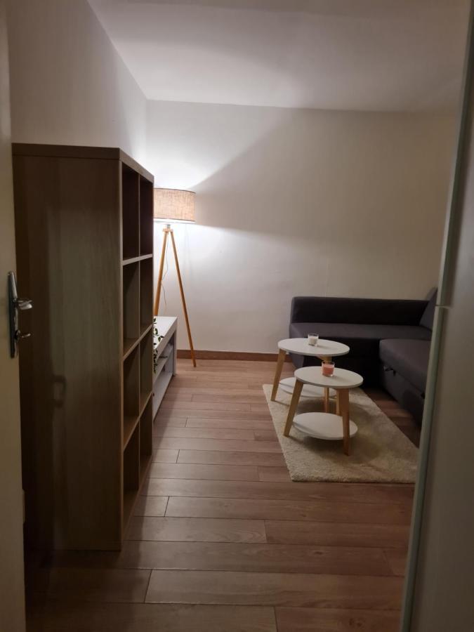 Proche De J. Jaures Et De L'hotel De Apartment